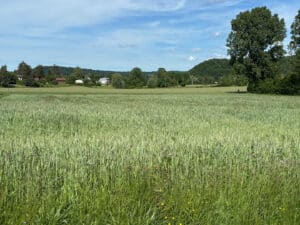 Terrain Doucier 1640 m2 – Zone artisanale et commerciale
